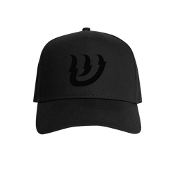 Shinergy Embroidered Hat - Blackout